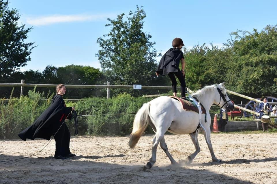 Ecuries Leseigneur - Camping Insolites Bolleville Kültér fotó
