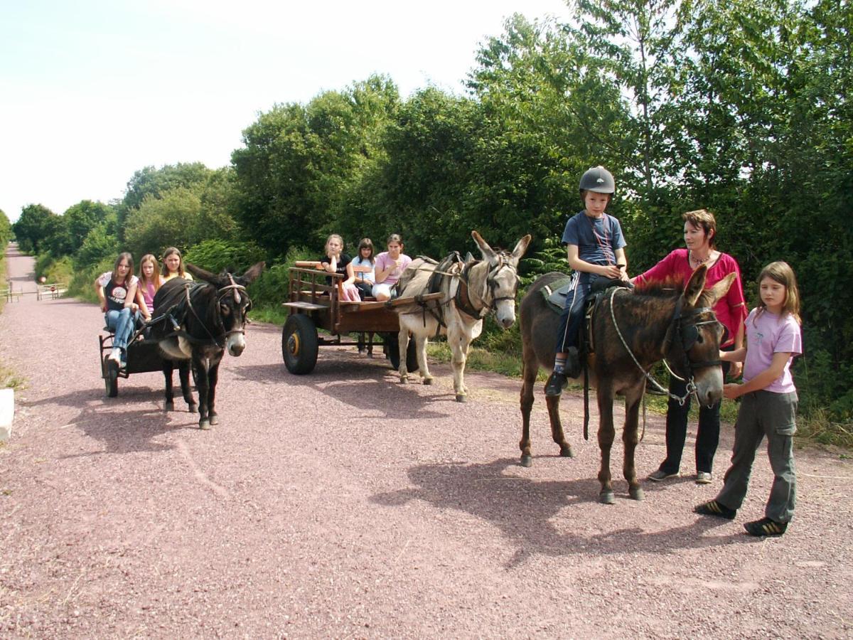 Ecuries Leseigneur - Camping Insolites Bolleville Kültér fotó
